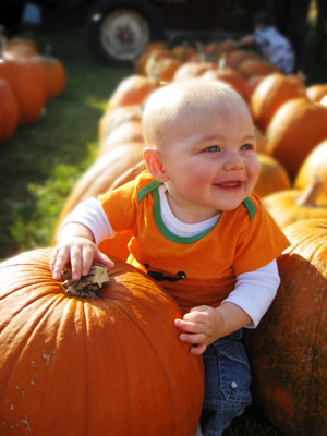 Babies get their first pumpkin free!
